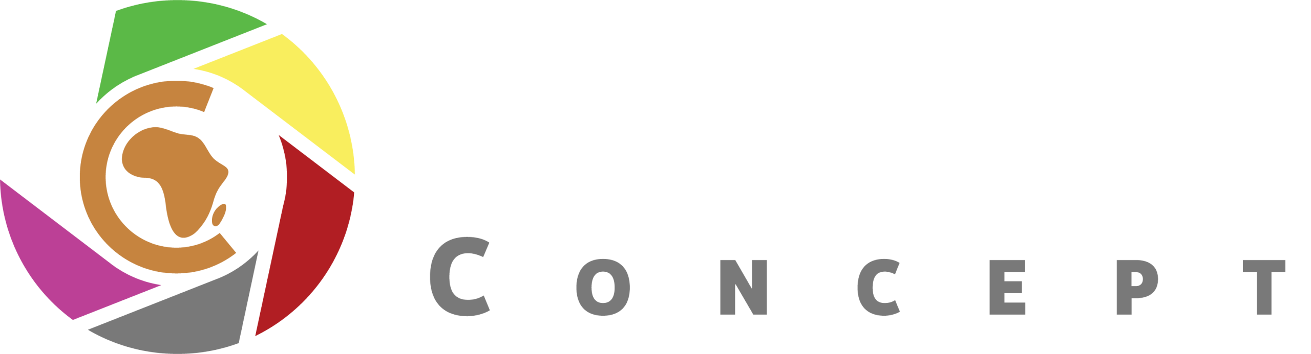 Cineafro Concept